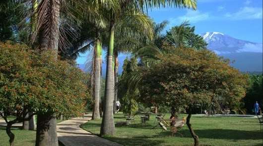 Kilemakyaro Mountain Lodge Moshi Ngoại thất bức ảnh