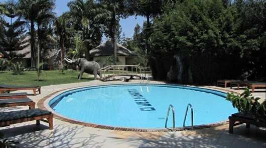 Kilemakyaro Mountain Lodge Moshi Tiện nghi bức ảnh